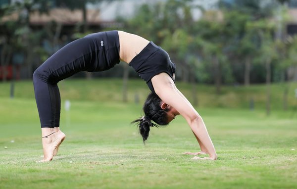 Winterpflege für langhaarige hunde: top-tipps für ein strahlendes fell in der kalten saison!